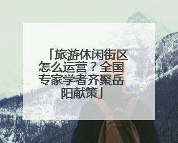旅游休闲街区怎么运营？全国专家学者齐聚岳阳献策