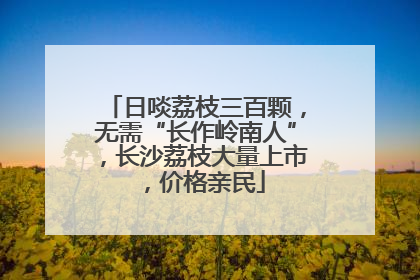 日啖荔枝三百颗，无需“长作岭南人”，长沙荔枝大量上市，价格亲民