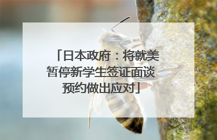 日本政府：将就美暂停新学生签证面谈预约做出应对