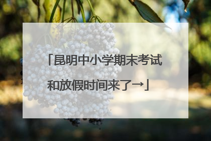 昆明中小学期末考试和放假时间来了→