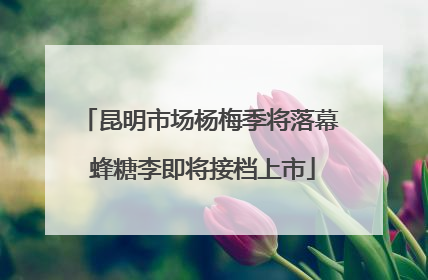 昆明市场杨梅季将落幕 蜂糖李即将接档上市
