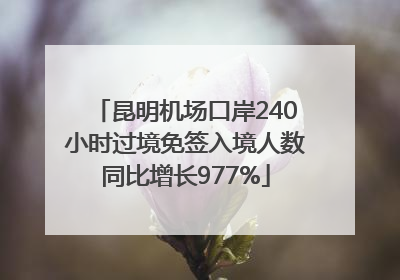 昆明机场口岸240小时过境免签入境人数同比增长977%