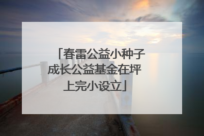春雷公益小种子成长公益基金在坪上完小设立