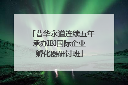 普华永道连续五年承办IBI国际企业孵化器研讨班