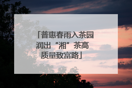 普惠春雨入茶园 润出“湘”茶高质量致富路