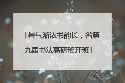 暑气渐浓书韵长，省第九届书法高研班开班