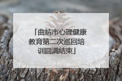 曲靖市心理健康教育第二次巡回培训圆满结束