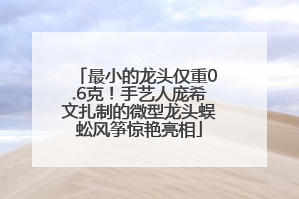最小的龙头仅重0.6克！手艺人庞希文扎制的微型龙头蜈蚣风筝惊艳亮相