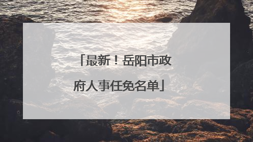 最新！岳阳市政府人事任免名单