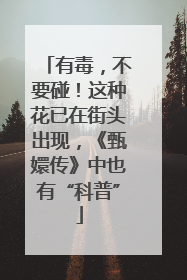 有毒，不要碰！这种花已在街头出现，《甄嬛传》中也有“科普”