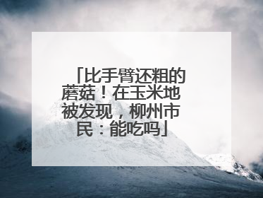 比手臂还粗的蘑菇！在玉米地被发现，柳州市民：能吃吗