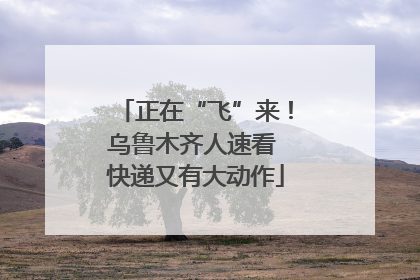 正在“飞”来！乌鲁木齐人速看 快递又有大动作