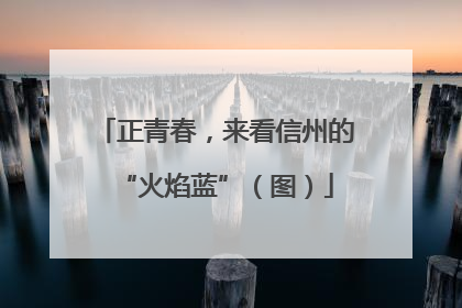 正青春，来看信州的“火焰蓝”（图）