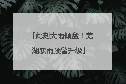 此刻大雨倾盆！芜湖暴雨预警升级
