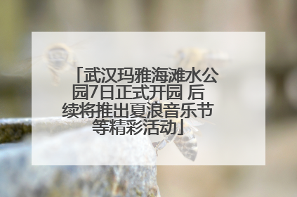 武汉玛雅海滩水公园7日正式开园 后续将推出夏浪音乐节等精彩活动