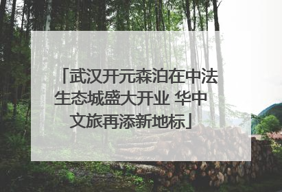 武汉开元森泊在中法生态城盛大开业 华中文旅再添新地标