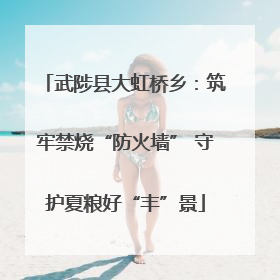 武陟县大虹桥乡：筑牢禁烧“防火墙” 守护夏粮好“丰”景
