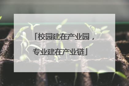 校园建在产业园，专业建在产业链