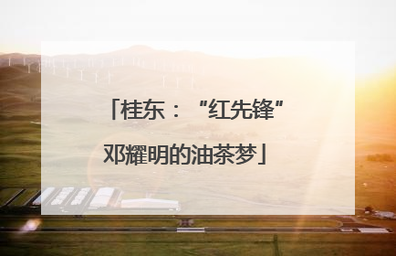 桂东：“红先锋”邓耀明的油茶梦