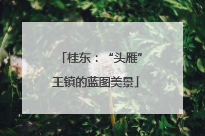 桂东：“头雁”王镇的蓝图美景