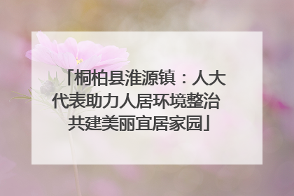 桐柏县淮源镇：人大代表助力人居环境整治 共建美丽宜居家园