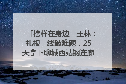 榜样在身边｜王林：扎根一线破难题，25天拿下聊城西站钢连廊“硬核”工程