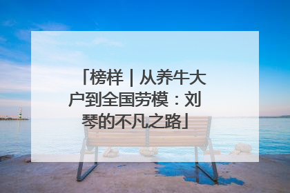 榜样｜从养牛大户到全国劳模：刘琴的不凡之路