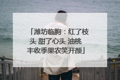 潍坊临朐：红了枝头 甜了心头 油桃丰收季果农笑开颜