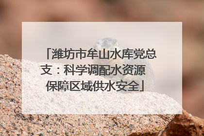 潍坊市牟山水库党总支：科学调配水资源 保障区域供水安全