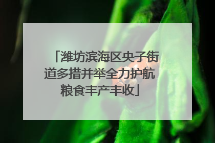 潍坊滨海区央子街道多措并举全力护航粮食丰产丰收
