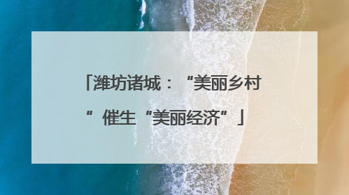 潍坊诸城：“美丽乡村”催生“美丽经济”