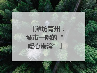 潍坊青州：城市一隅的“暖心港湾”