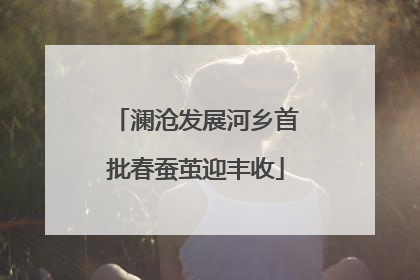 澜沧发展河乡首批春蚕茧迎丰收