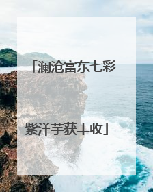 澜沧富东七彩紫洋芋获丰收