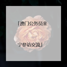 澳门公务员来宁参访交流