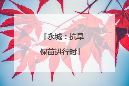 永城：抗旱保苗进行时