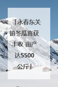 永春东关镇冬瓜喜获丰收 亩产达5500公斤