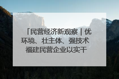 民营经济新观察｜优环境、壮主体、强技术 福建民营企业以实干担当聚势谋进