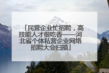 民营企业忙招聘，高技能人才很吃香——河北省个体私营企业网络招聘大会扫描