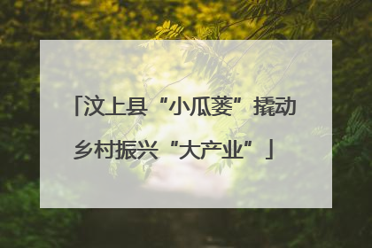 汶上县“小瓜蒌”撬动乡村振兴“大产业”