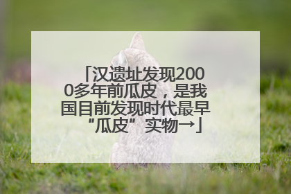 汉遗址发现2000多年前瓜皮，是我国目前发现时代最早“瓜皮”实物→