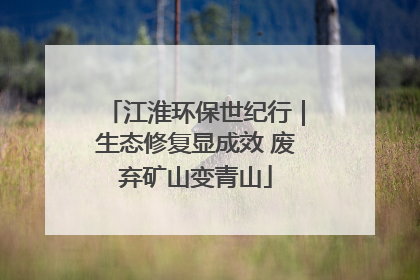 江淮环保世纪行｜生态修复显成效 废弃矿山变青山