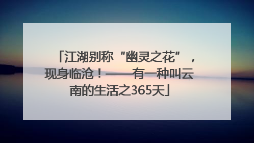 江湖别称“幽灵之花”，现身临沧！——有一种叫云南的生活之365天