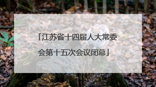 江苏省十四届人大常委会第十五次会议闭幕