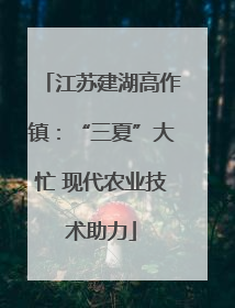 江苏建湖高作镇：“三夏”大忙 现代农业技术助力
