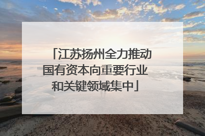 江苏扬州全力推动国有资本向重要行业和关键领域集中