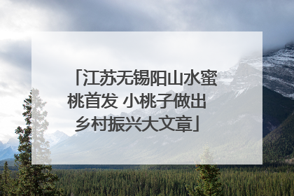 江苏无锡阳山水蜜桃首发 小桃子做出乡村振兴大文章