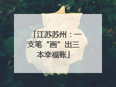江苏苏州：一支笔“画”出三本幸福账