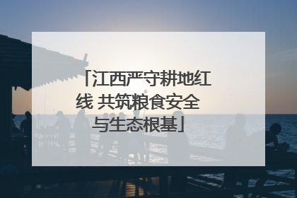 江西严守耕地红线 共筑粮食安全与生态根基