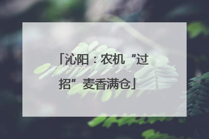 沁阳：农机“过招”麦香满仓